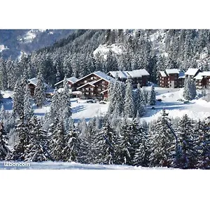  Appartement Au Pied Des Pistes Avec Vue Sur La Montagne